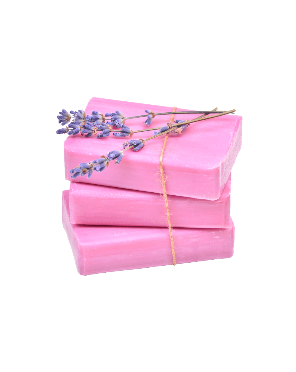 shop-11-03 - Acharya Exports