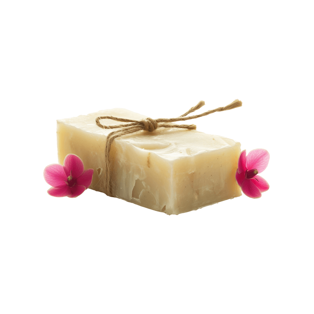 Shop Primary Image Shop Primary Image