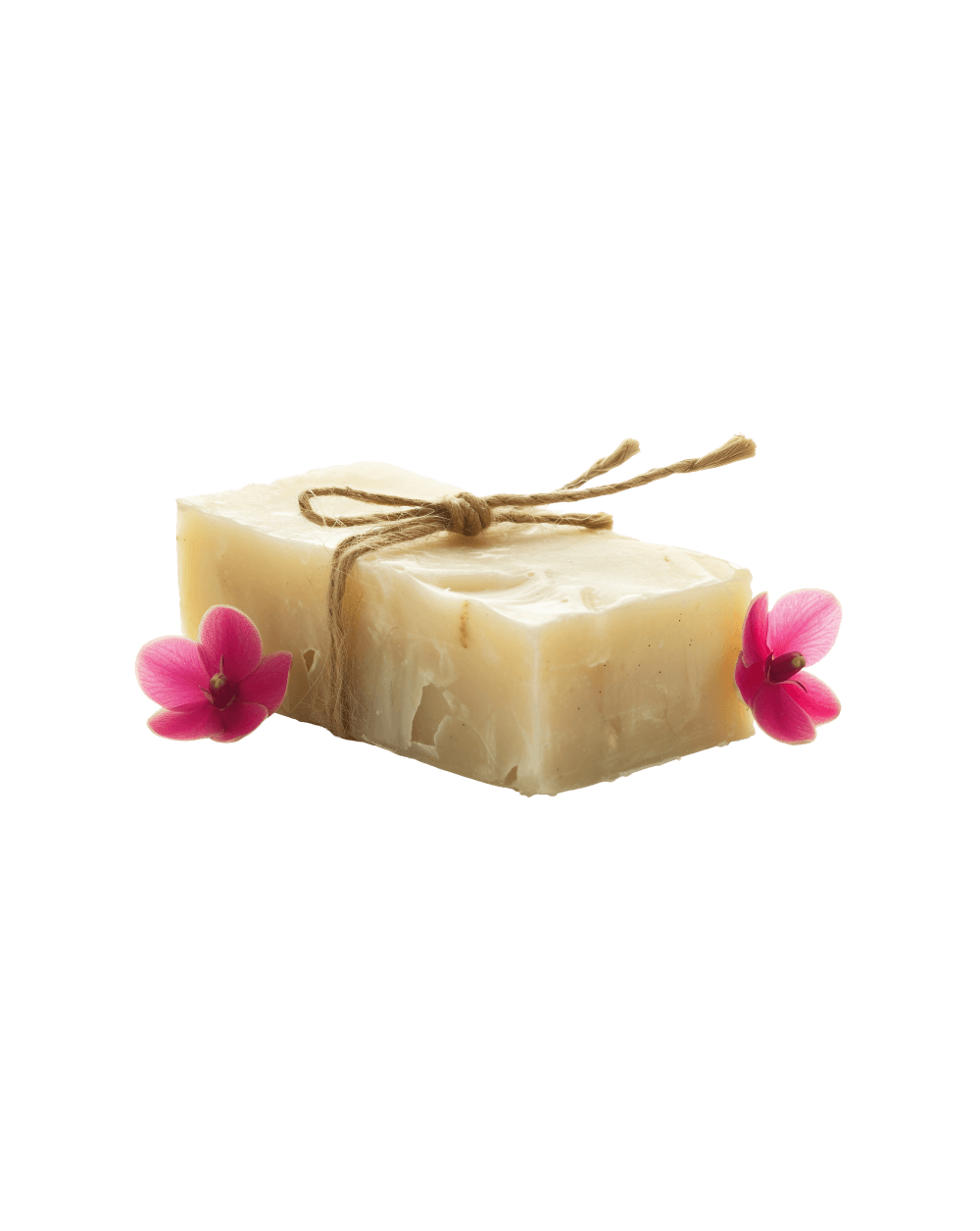 shop-12-1 - Acharya Exports