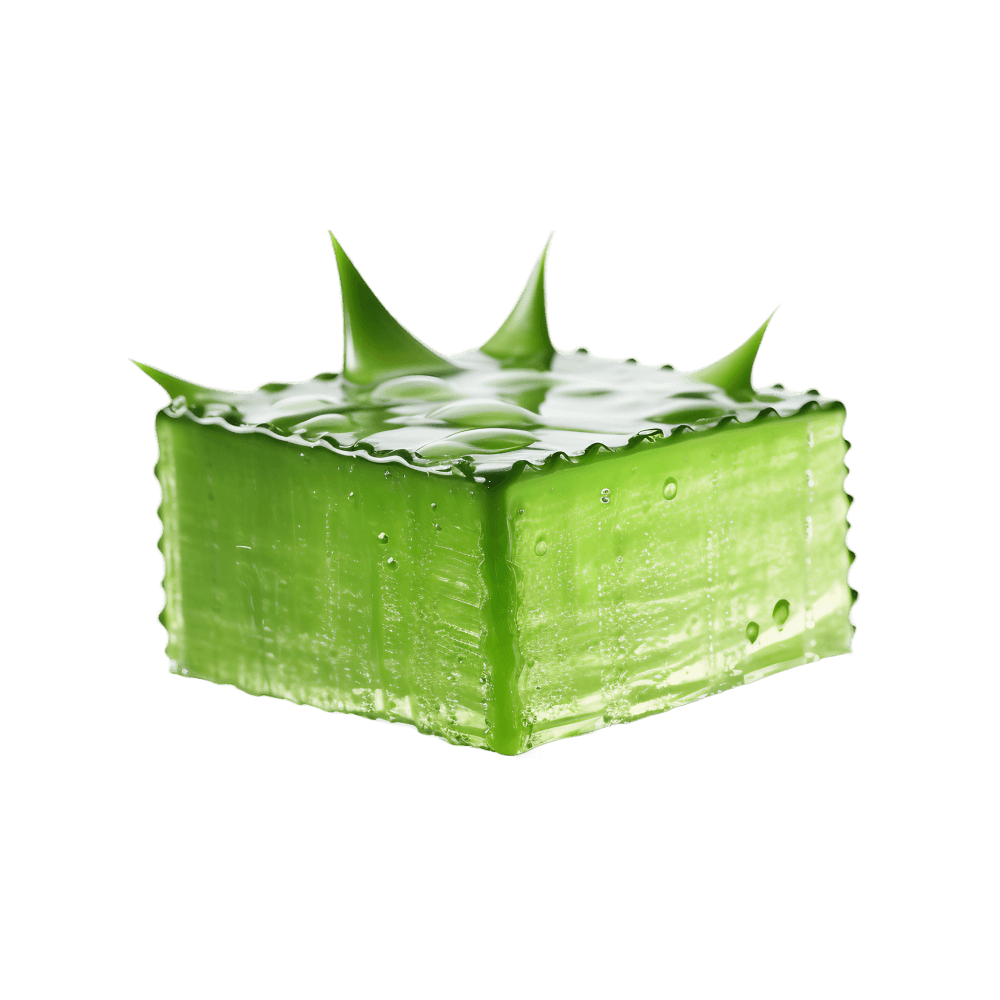 Shop Primary Image Shop Primary Image